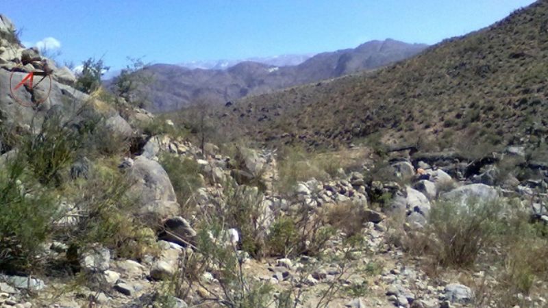 La noticia del bebé que habría sido devorado por un chancho ya es noticia nacional