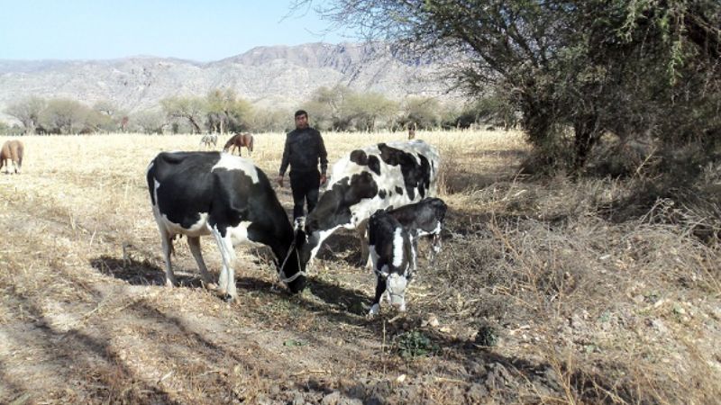 Charla sobre \"Manejo del Rodeo en Crisis Hídrica\"