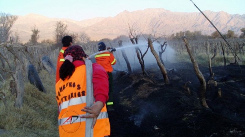 Nuevo incendio en viñedos de Fiambalá
