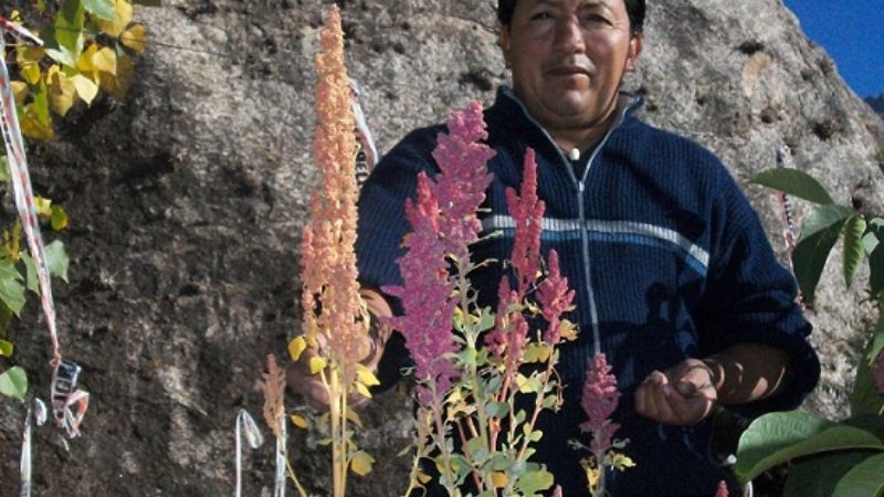 Primeras Jornadas de Quínoa de Catamarca