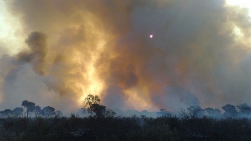 Incendio forestal puso en riesgo una vivienda