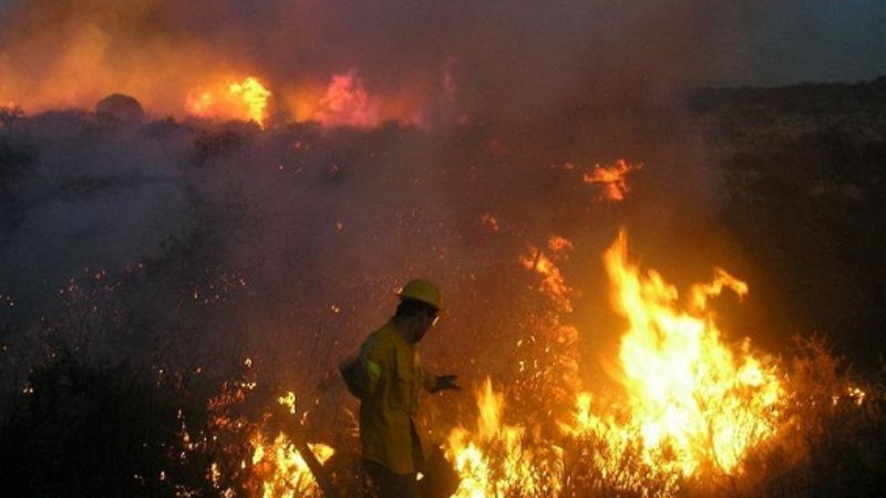Provocaron incendio forestal en cercanías de las 500 viviendas 