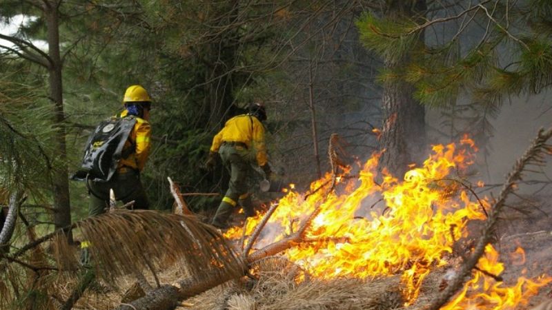 El incendio de Puerto Patriada está controlado