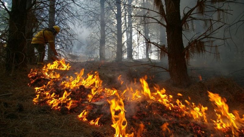El incendio de Puerto Patriada está controlado