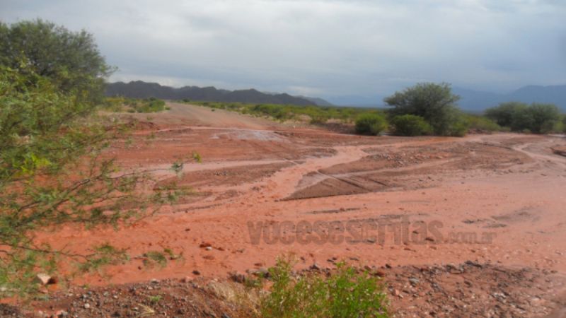 Lo que dejó la tormenta en Tinogasta