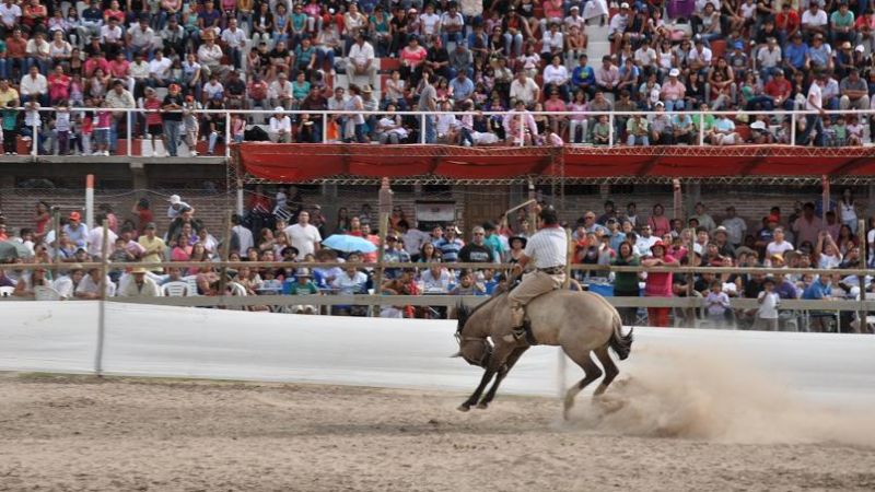 Ni la lluvia pudo detener el éxito del Festival de Doma
