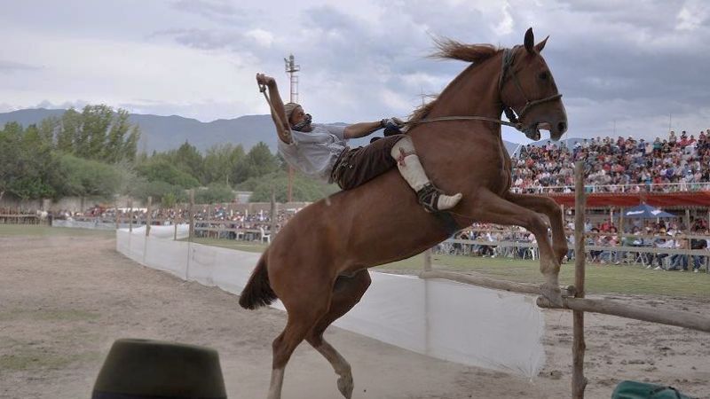 Ni la lluvia pudo detener el éxito del Festival de Doma