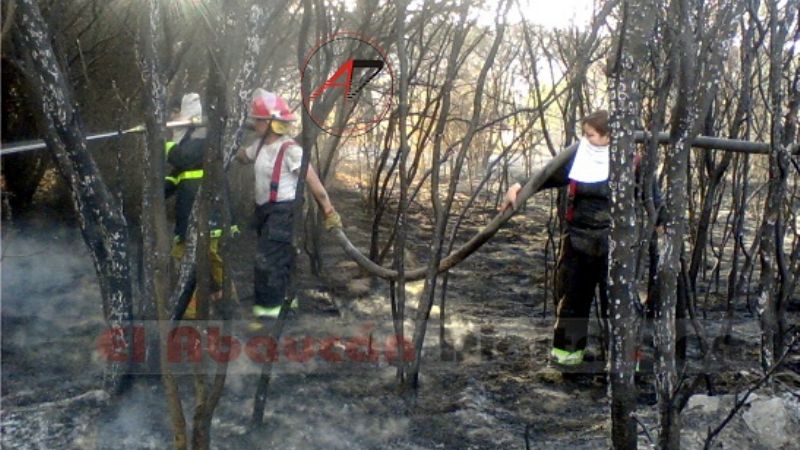 Incendio de gran magnitud en Medanitos