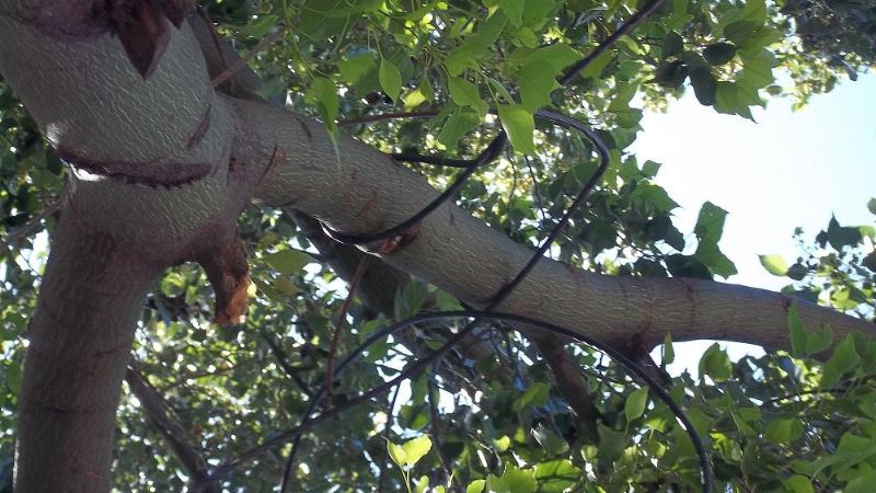 Técnicos del En.Re. asesoraron a usuarios de Polcos