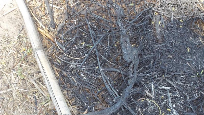 Técnicos del En.Re. asesoraron a usuarios de Polcos