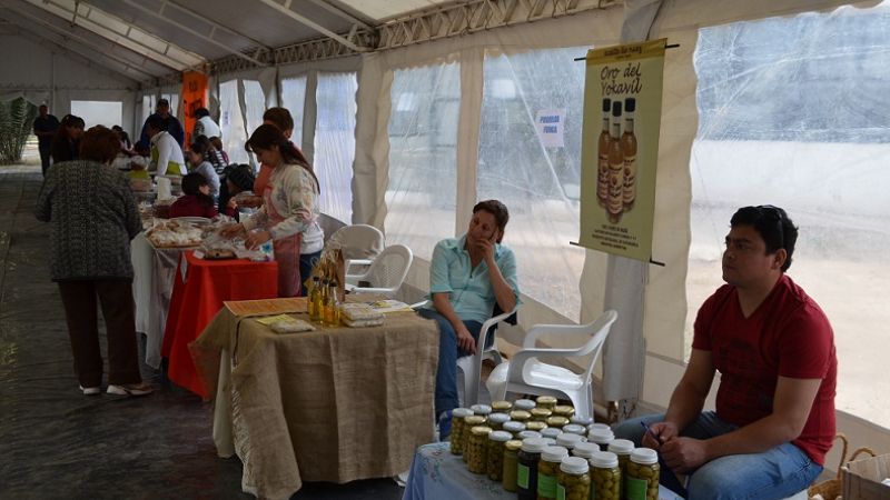 Convocan a productores y artesanos a participar del “Valle Viejo Expone”