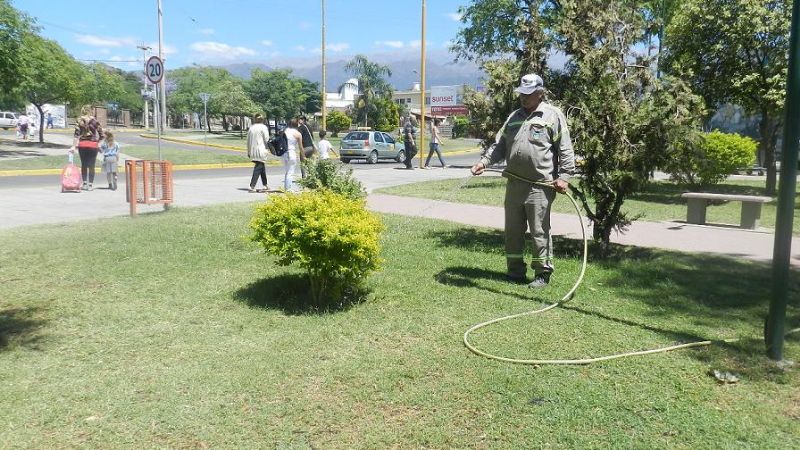 SFVC, una ciudad más verde 