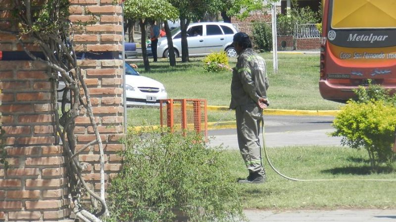 SFVC, una ciudad más verde 