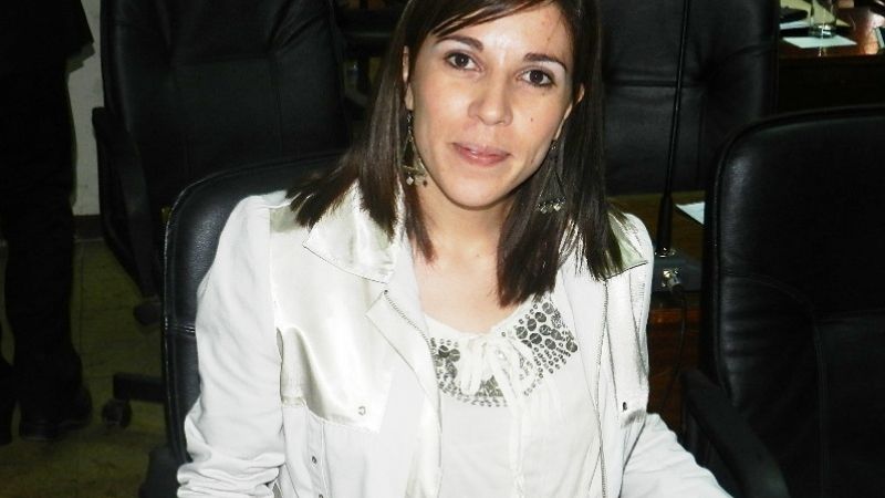 Impulsan la creación de un Consejo Provincial de la Juventud