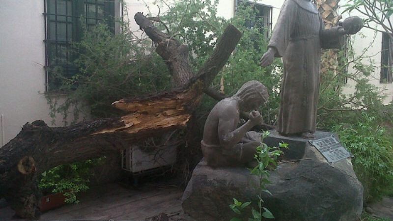Se cayó un árbol en el Museo Adán Quiroga
