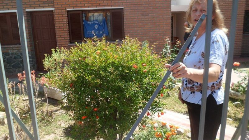 Un camión impactó contra una vivienda