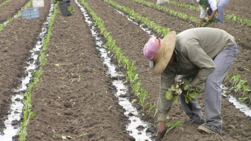 Descendió la tasa de desocupación en Catamarca