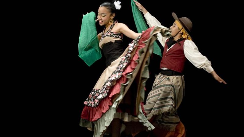 Dieron a conocer los ganadores de los Evita culturales