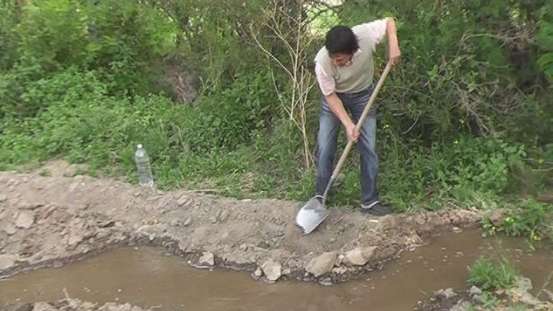 Plan forrajero San José 2012/13