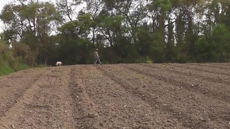 Plan forrajero San José 2012/13