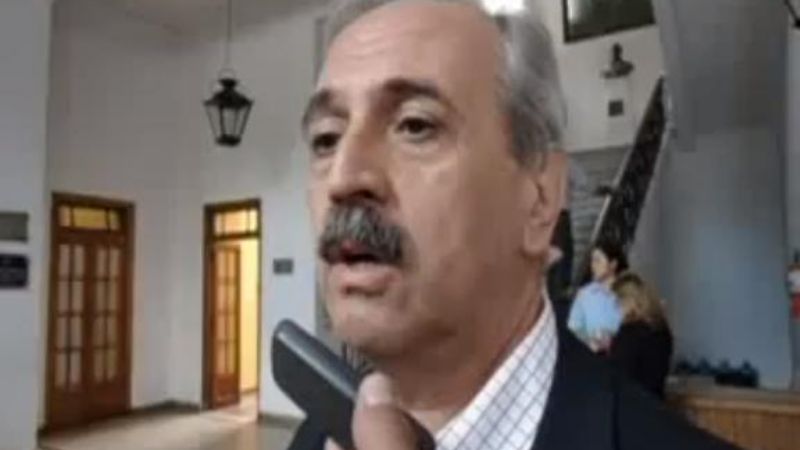 Molina garantizó la oferta de energía eléctrica para el verano