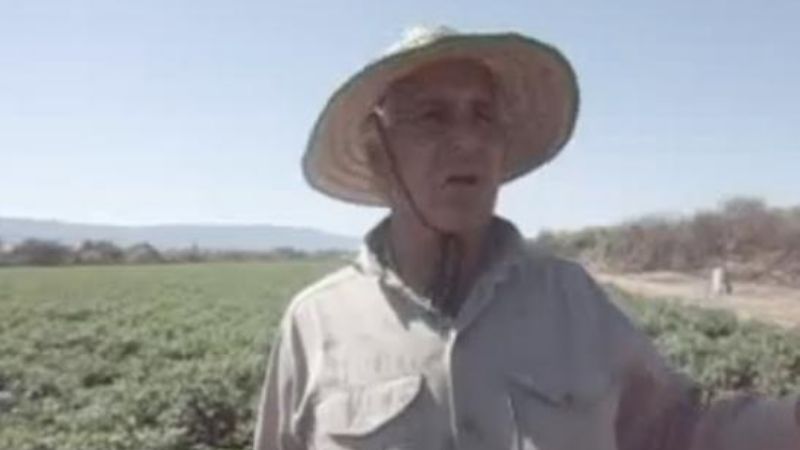 Caída de granizo causó pérdidas casi totales en plantaciones de tomate