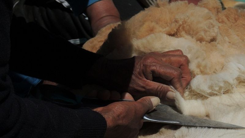 Exitoso Chaku Comunitario 2012