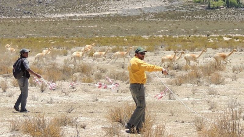 Exitoso Chaku Comunitario 2012