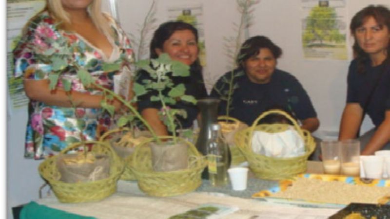 El Algarrobo, Patrimonio Natural Autóctono de Santa María