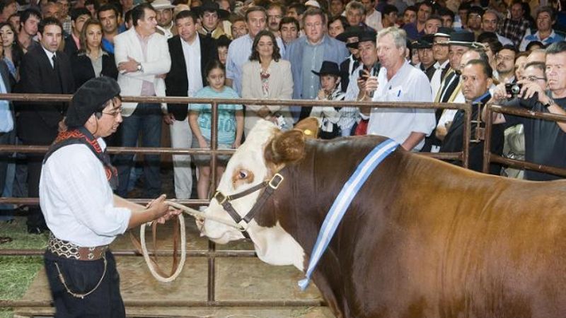 La Gobernadora presentó el Plan Ganadero en la Sociedad Rural
