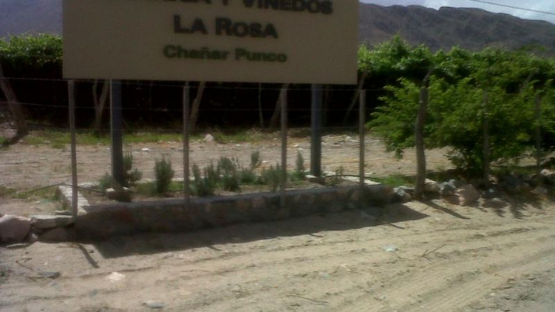 Vecinos de Chañar Punco molestos con grandes viñateros 