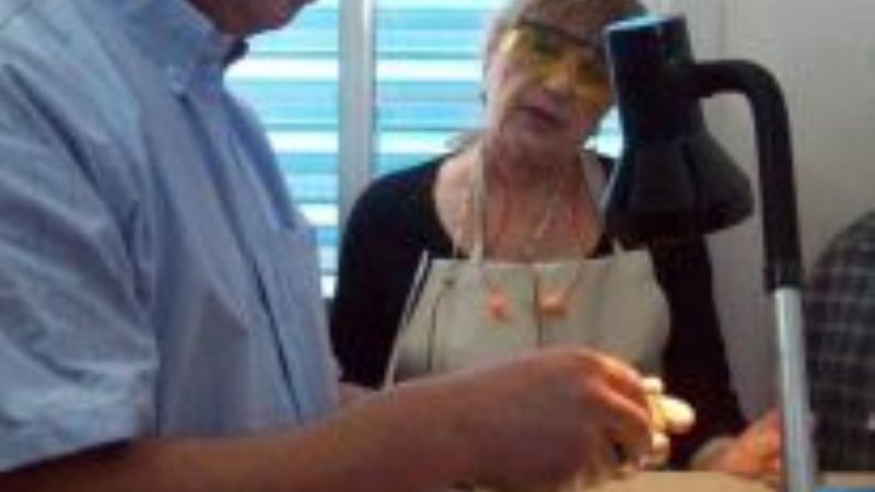 Plan de carrera de la Escuela Pública de  Orfebrería  