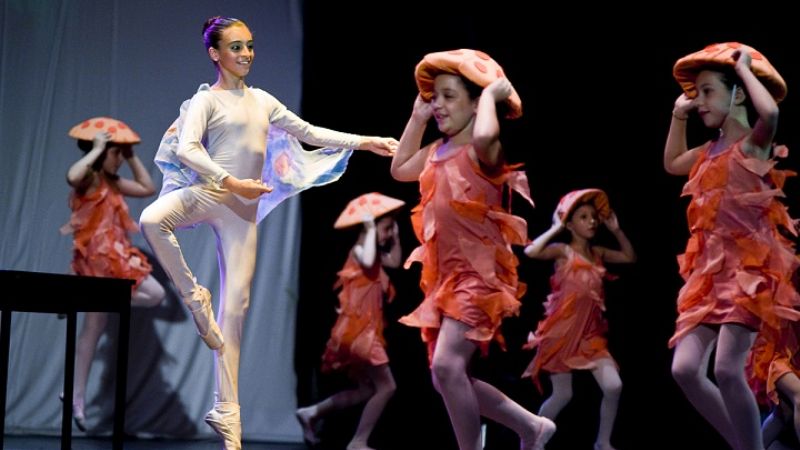 Emocionante gala del Seminario de Danza Clásica