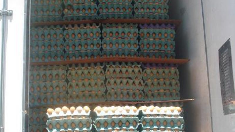 Decomisaron un cargamento con 9.000 docenas de huevos