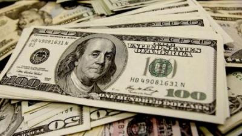 El dólar oficial subió 13,8% en el año; el \"blue\", un 43%