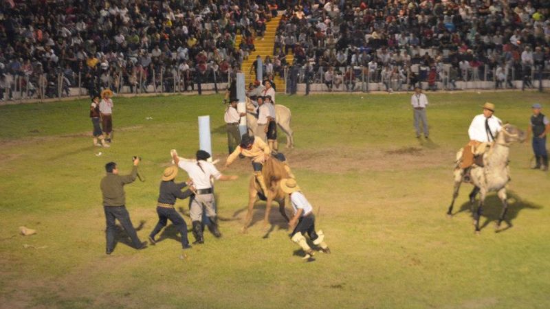 Más de 8 mil personas vivieron la primera noche de la doma y folclore 