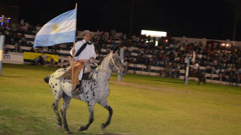Más de 8 mil personas vivieron la primera noche de la doma y folclore 