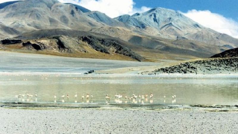Un imperdible vuelo a las maravillas de la Puna catamarqueña