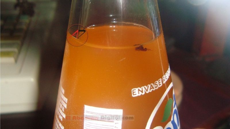 Encuentran una “hormiga” dentro de una gaseosa de reconocida marca