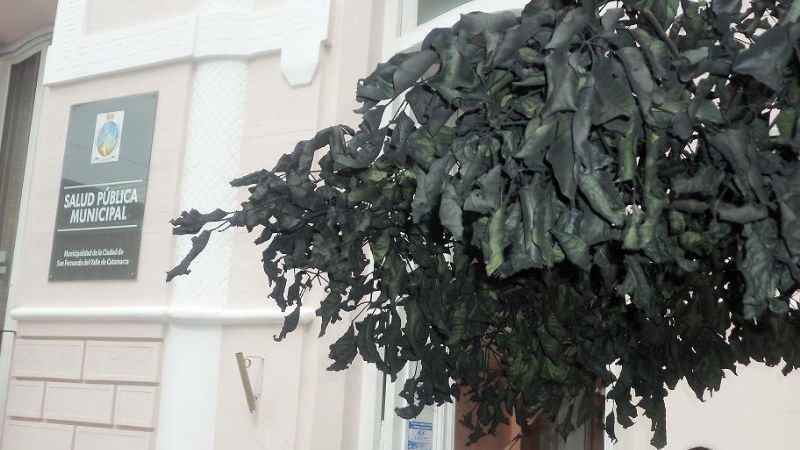 Quemaron gomas frente a Sanidad Municipal