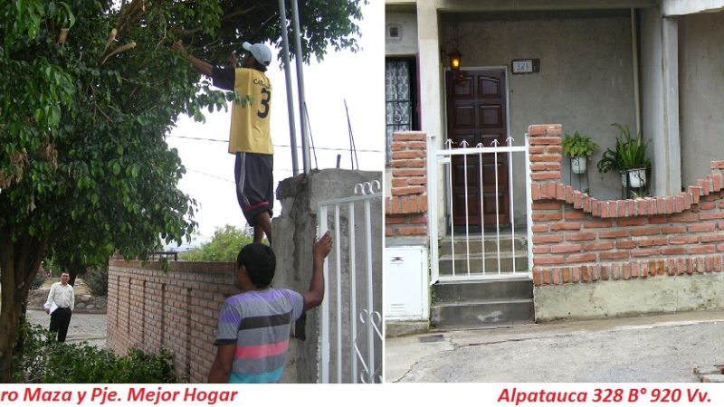 Preocupante aumento de tala de árboles en la ciudad