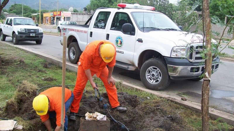 Lanzamiento del plan de Forestación en la Av. Los Terebintos   