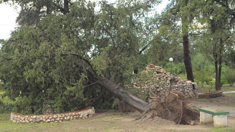 Tras el temporal, Icaño inicia la reconstrucción
