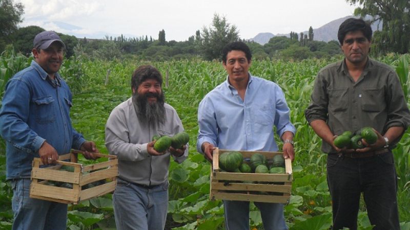 El municipio de San José enmarcado en las huertas escolares ecológicas