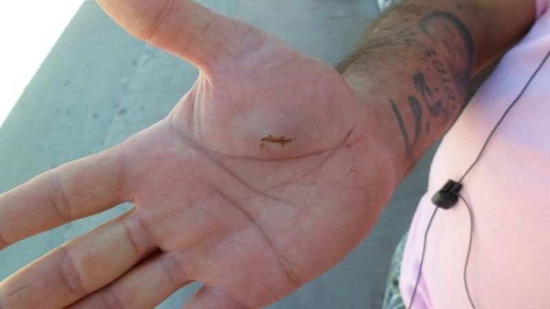 Herido de arma blanca se quejó de la atención del HSJB