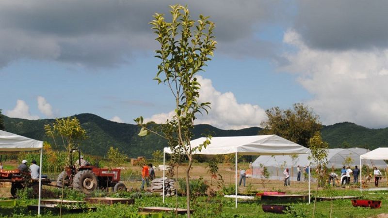 Restan 10 días para el inicio del INTA Expone región NOA