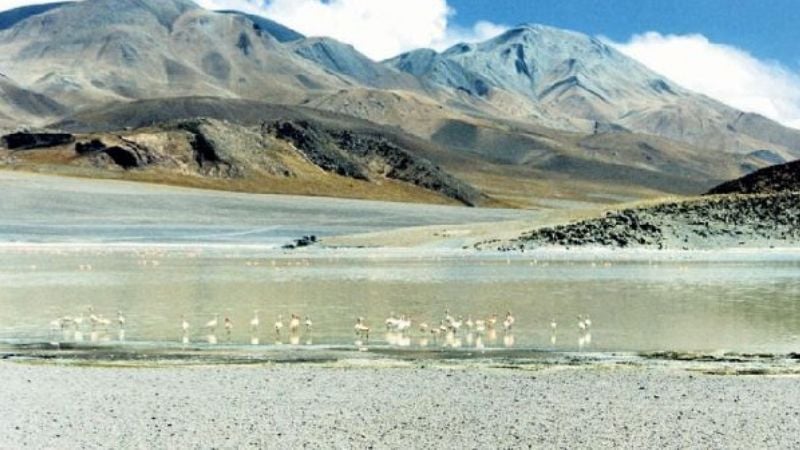 Convenio intermunicipal corredor regional de la puna