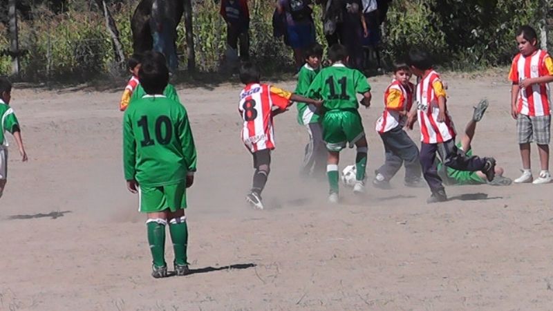 El apoyo a las instituciones en un compromiso   