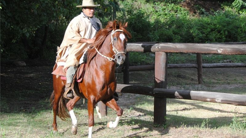 Se puso en marcha la VI Fiesta de Jinetes, Caballos y Aperos 