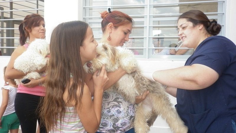 Campaña de vacunación a mascotas